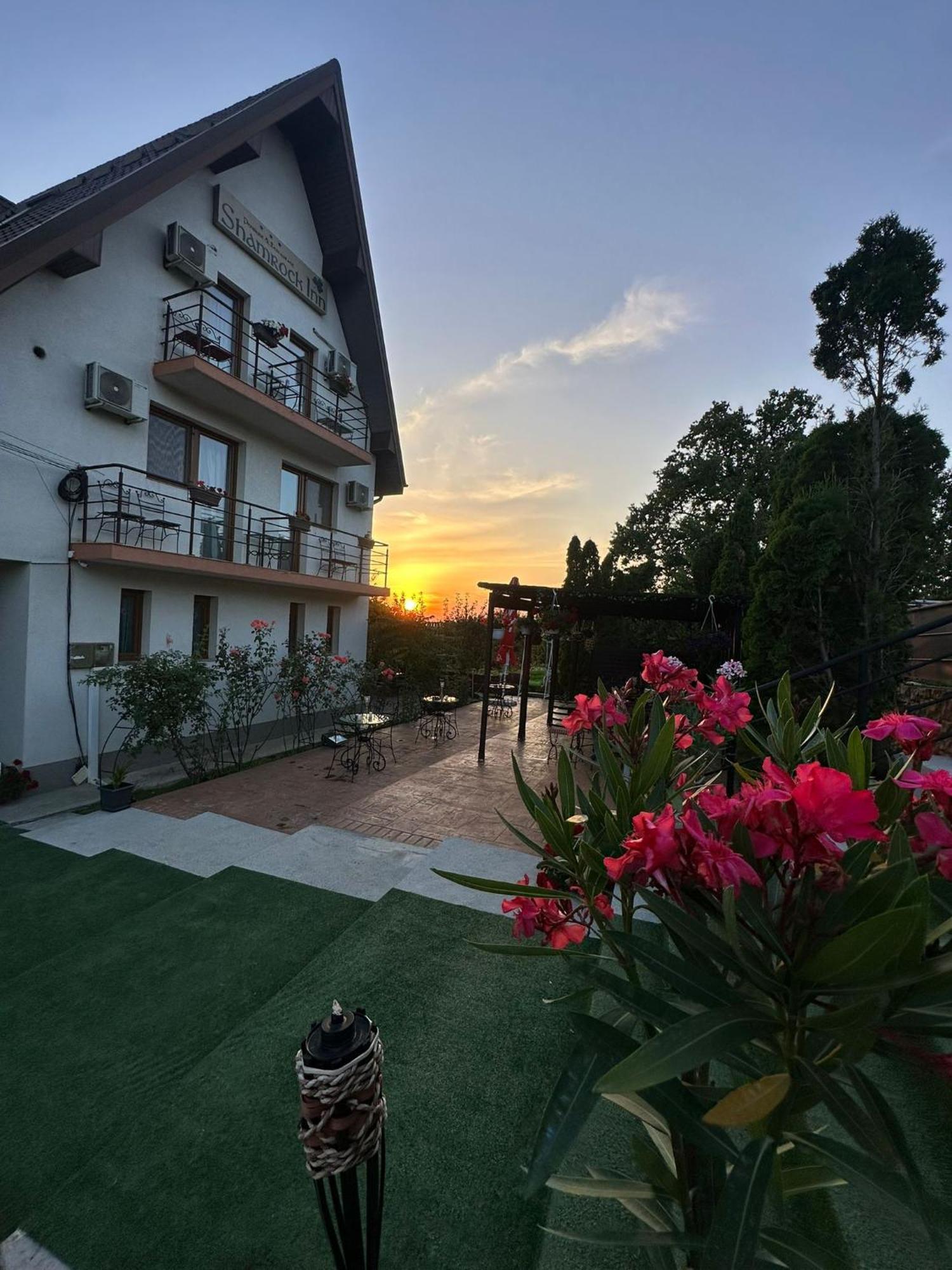 Shamrock Inn Iasi Bagian luar foto